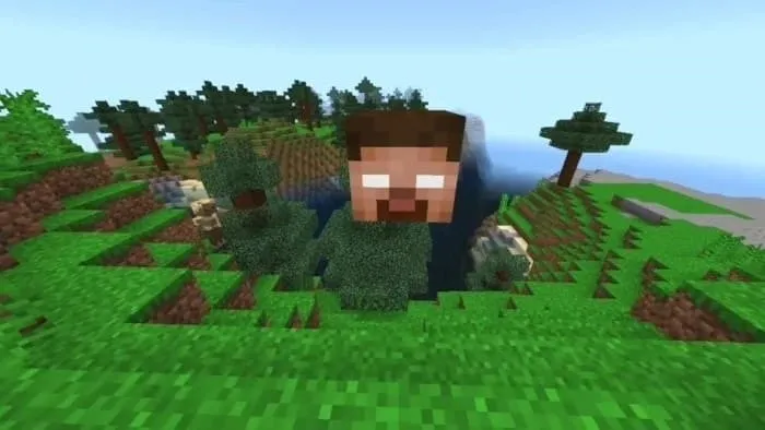 Парящая голова игрока в белыми глазами