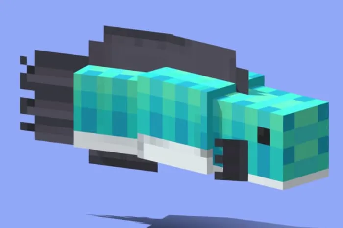 Внешний вид новой рыбы