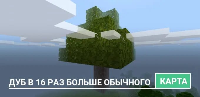 Карта: Дуб в 16 раз больше обычного