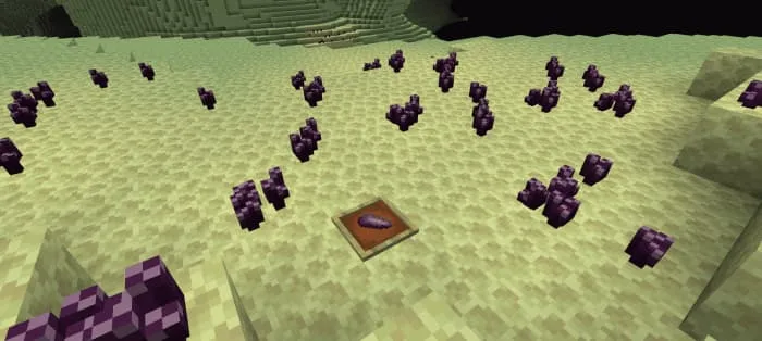 Светящиеся ростки хоруса, размещённые на блоке в Краю