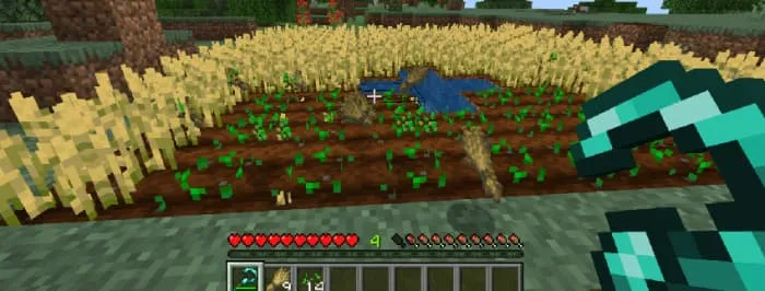 Сбор урожая серпом