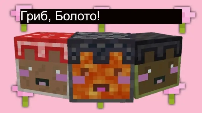 Грибные блочные питомцы