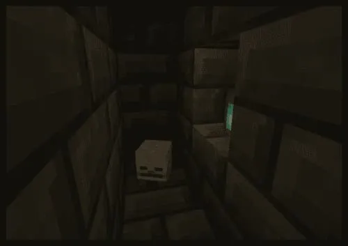 Череп скелета в катакомбах