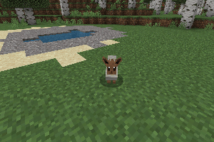 Иви копает землю