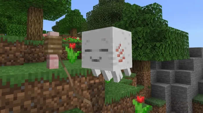 Гастлинг на поводке