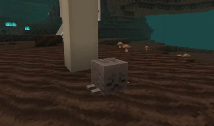 Высохший гаст в Долине песка душ