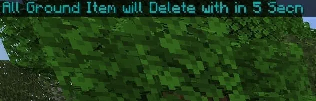 Сообщение о том, что через 5 секунд предметы будут удалены