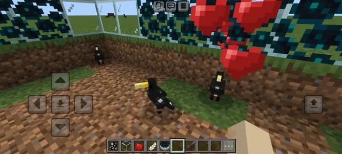 Размножение скворцов