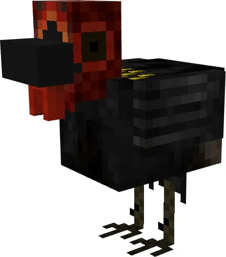 Полностью черный петух с красной головой