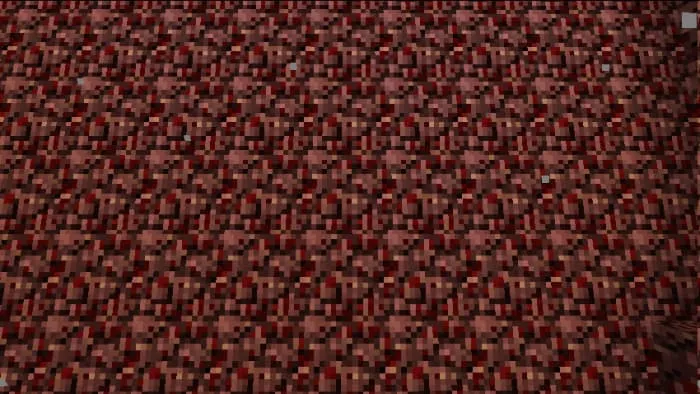 Новый вид незерака