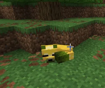 Желтая лиса