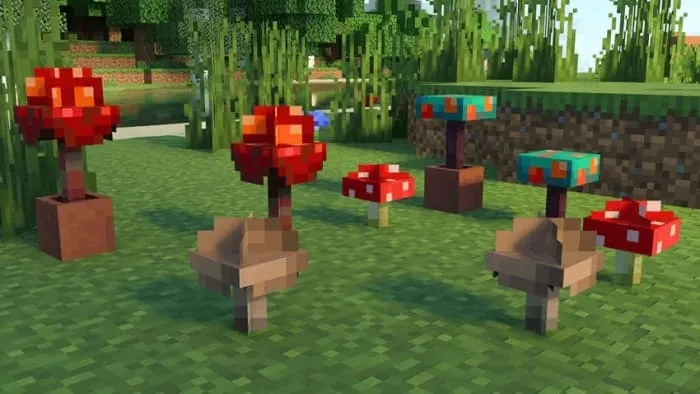 Объёмные грибы с улучшенной формой, растущие на поверхности земли