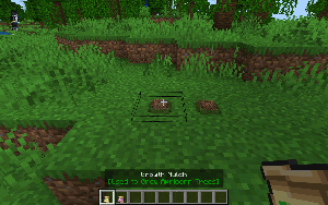 Использование мульчи на деревьях с априкорнами