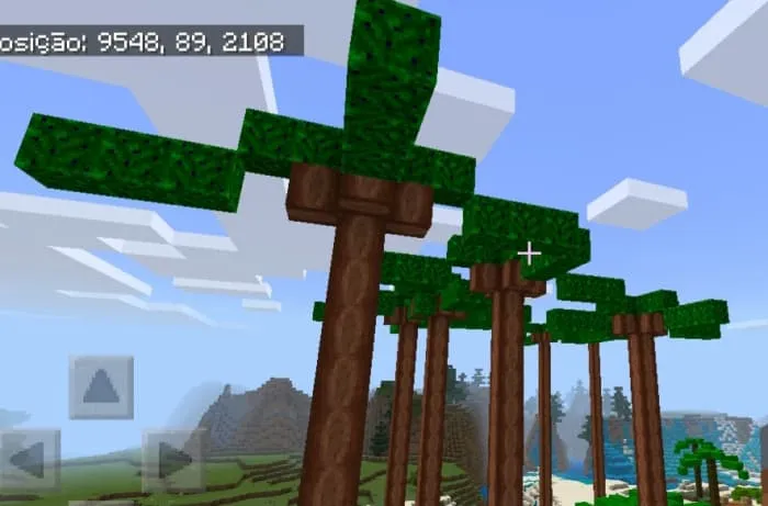 Внешний вид пальм асаи