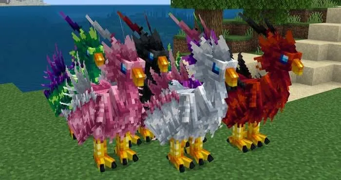 Варианты филориалов