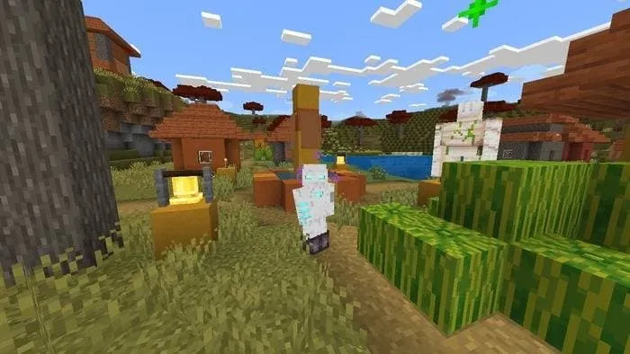 Игрок в деревне возле арбузов