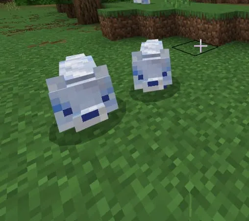 Снежные лисы