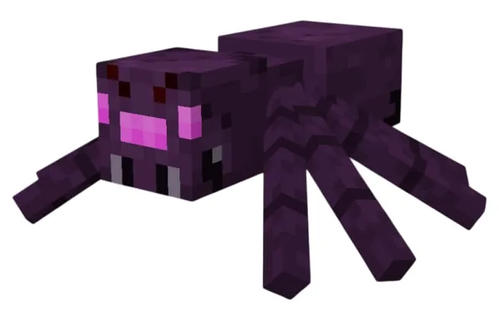 Внешний вид паука Края