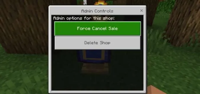 Интерфейс управления предметом в магазине