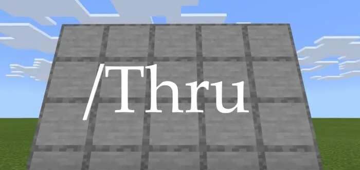 Надпись команды и стена из блоков