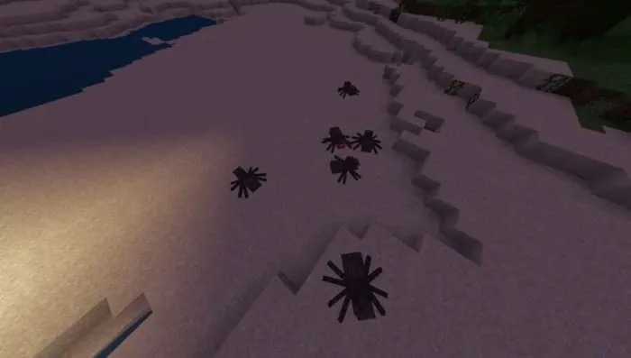 Много пауков в пустыне ночью