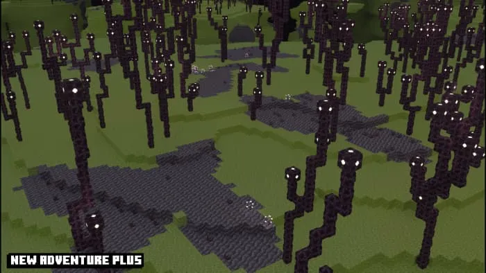 Новый вид Края