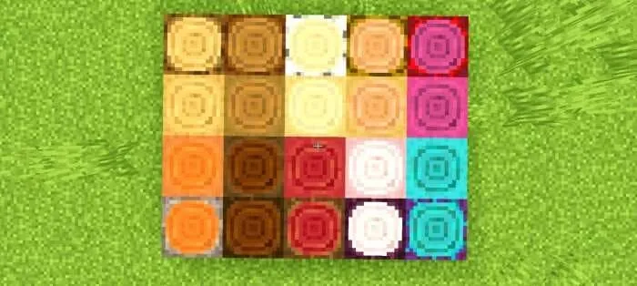 Сравнение различных типов древесины с округлыми торцами