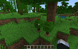 Сбор априкорнов