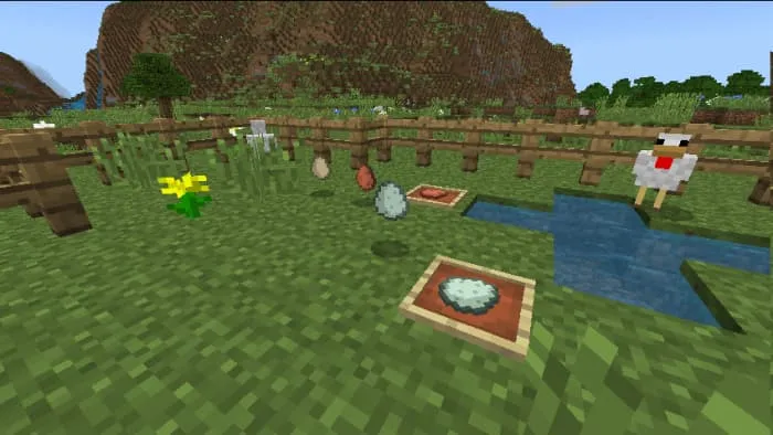 Старый вид яиц