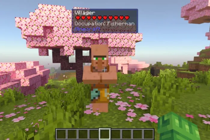 Информация о жителе на фоне вишневого биома