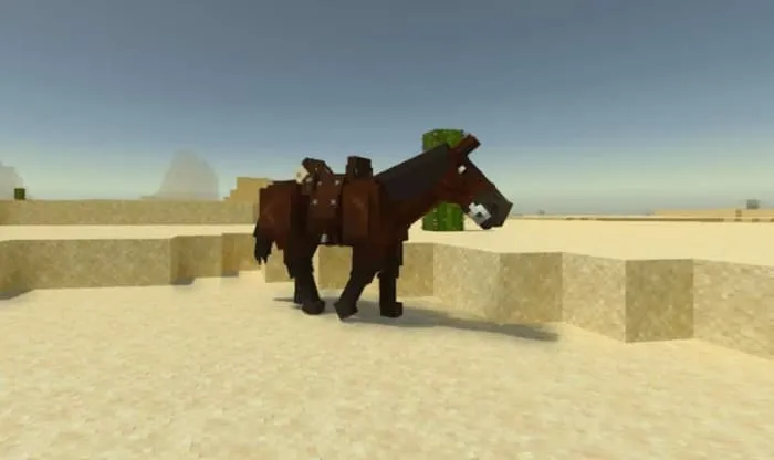 Конь с седлом в пустыне