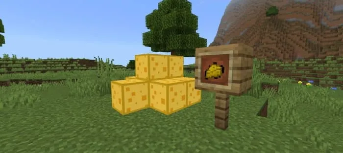 Блоки сыра ярко-желтого цвета