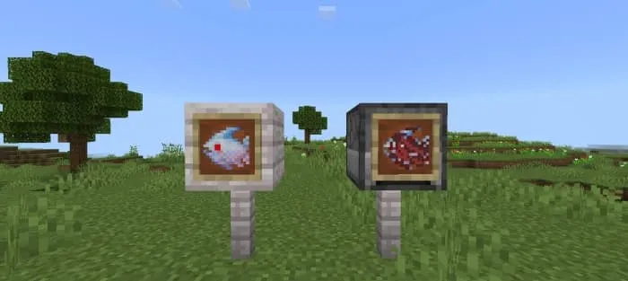 Два вида сырых пираний в рамках