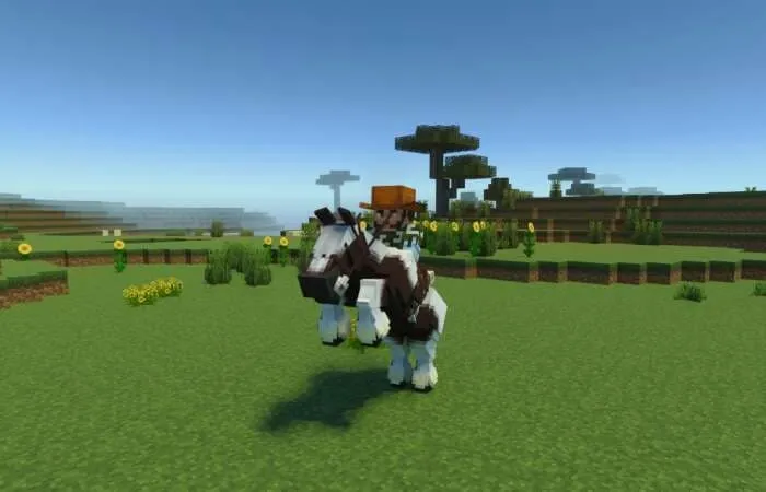 Камера снимает как игрок верхом на лошади