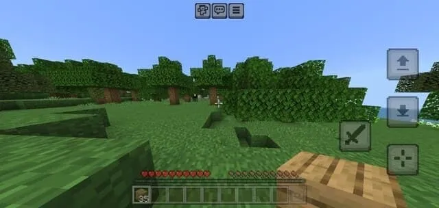 Игрок смотрит в сторону леса