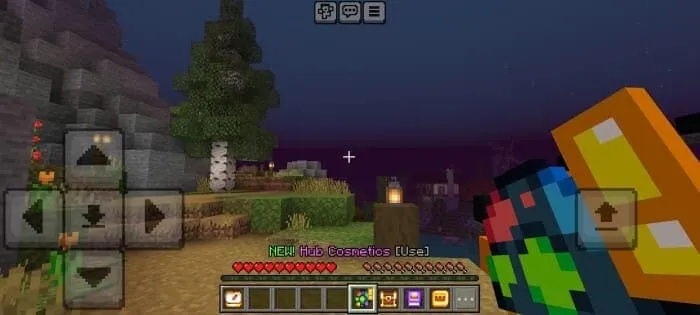 Игрок держит предмет из мода