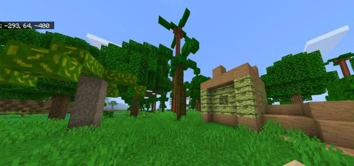 Игрок в теплом биоме