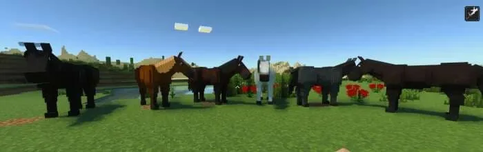 Чистокровная порода Лошади