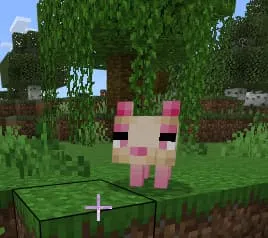 Лиса девочка