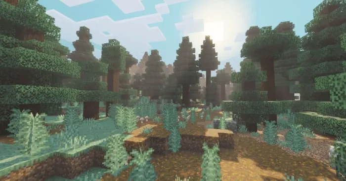 Новый вид тайги