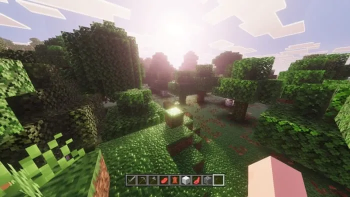 Демонстрация света в лесу