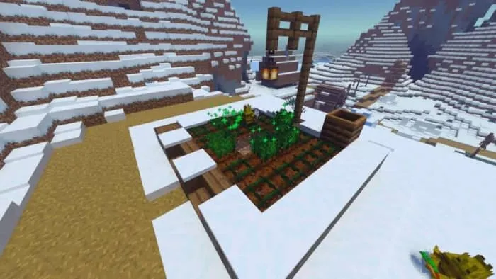 Созревшие растения на ухоженной грядке