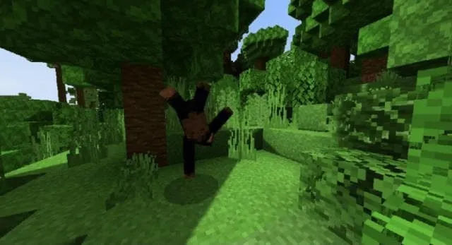 Тропический биом с густыми зарослями джунглей