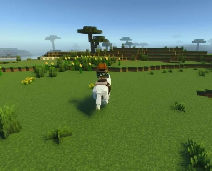 Камера позади игрока