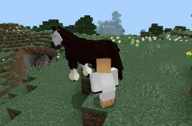 Игрок возле лошади