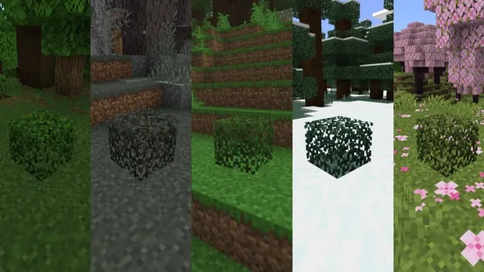 Новый вид листвы