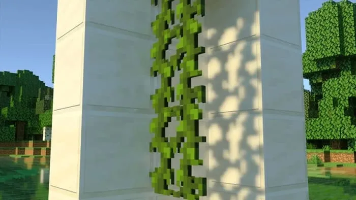 Виноградная лоза с обновлённой формой и улучшенной визуализацией