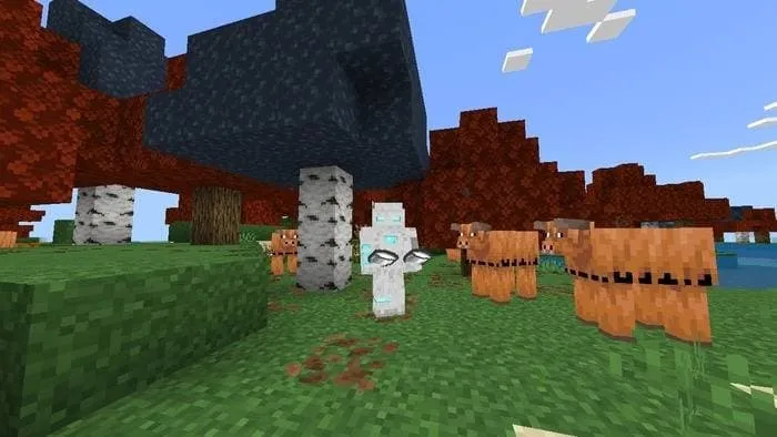 Коровы возле игрока