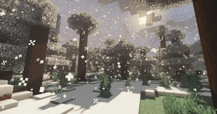 Новый вид заснеженной тайги