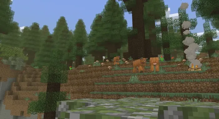 Новый вид коров